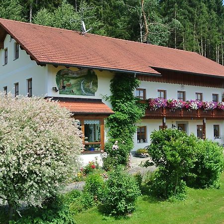 Haus Am Waldrand - Ferienwohnung Augustin Grafenau  Kültér fotó