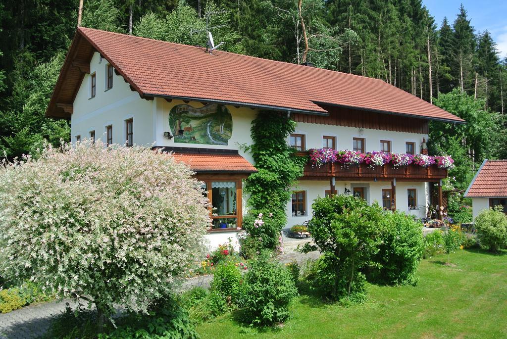 Haus Am Waldrand - Ferienwohnung Augustin Grafenau  Kültér fotó