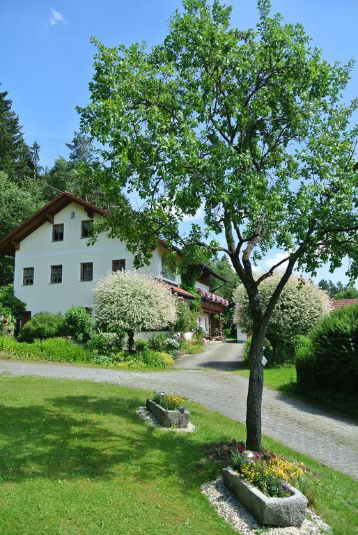 Haus Am Waldrand - Ferienwohnung Augustin Grafenau  Kültér fotó